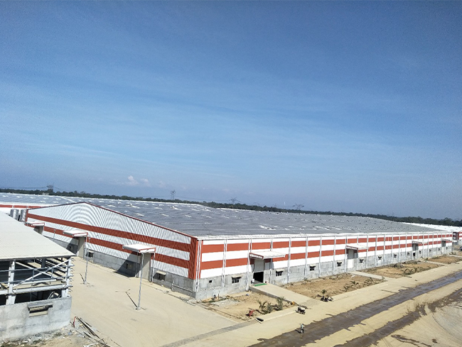 Patanjali Ayurved Ltd.